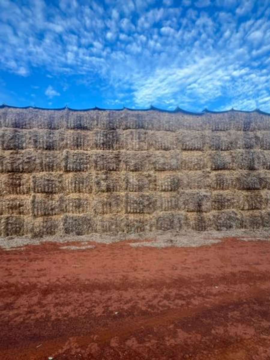 Batch 4990788000181080242 Image