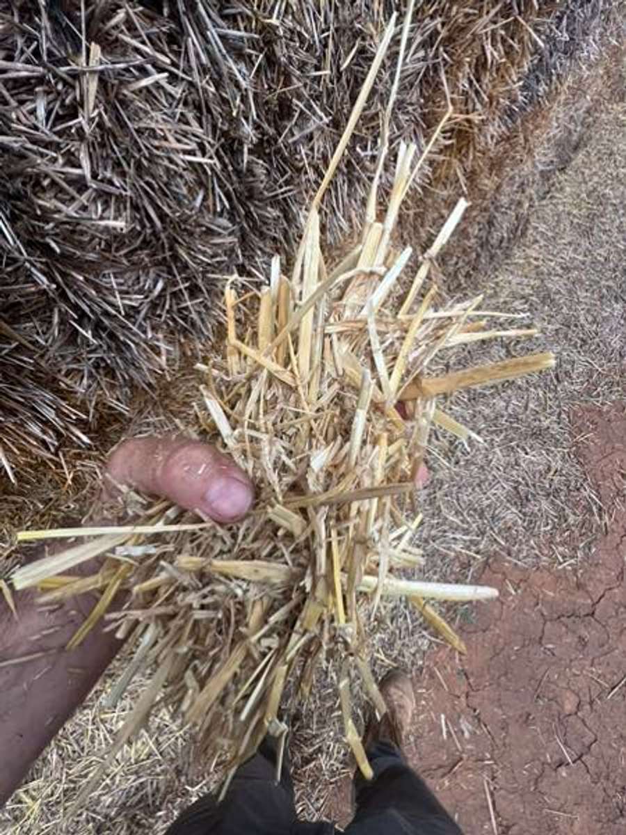 Batch 4990788000181080242 Image