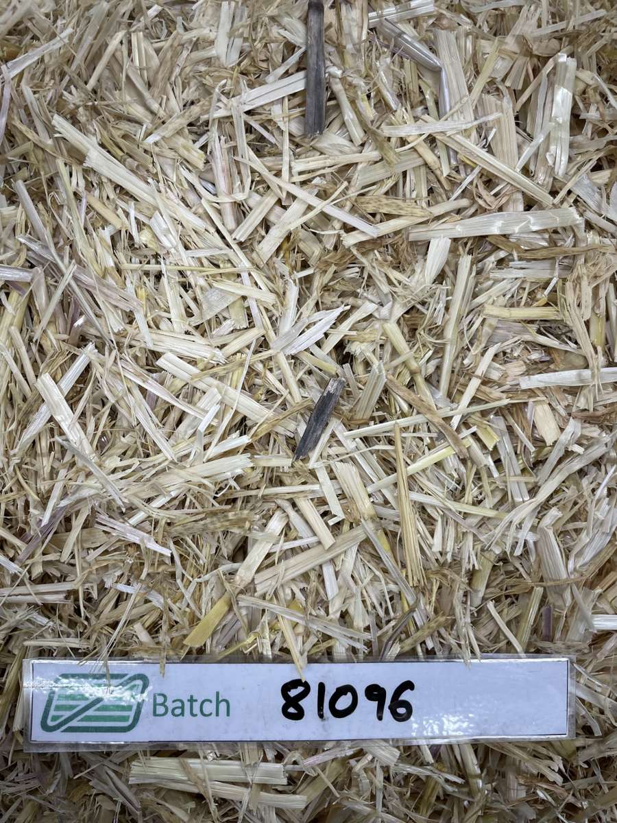 Batch 4990788000201300001 Image