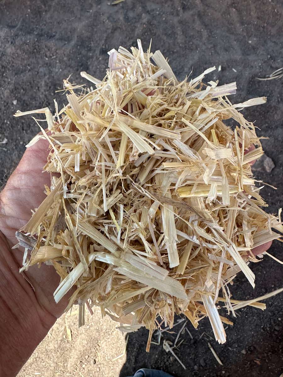 Batch 4990788000201300001 Image