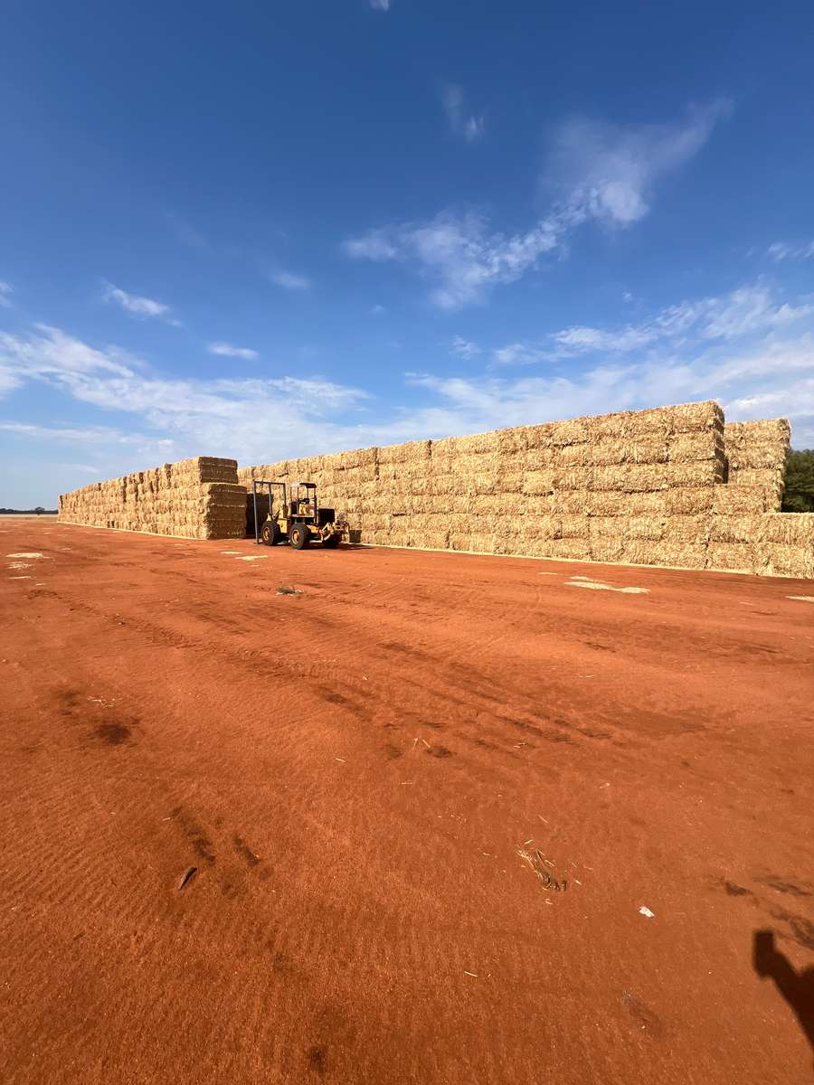 Batch 4990788000201163030 Image