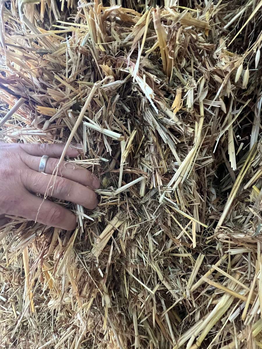 Batch 4990788000191151138 Image