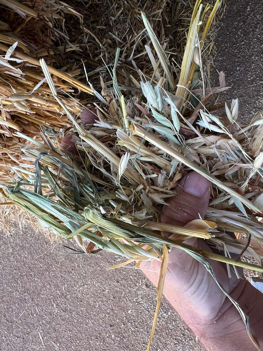 Batch 4990788000191151138 Image