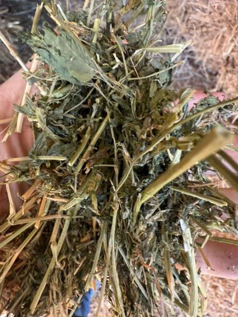 Batch 4990788000183566026 Image