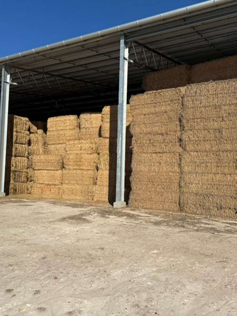 Batch 4990788000183566026 Image