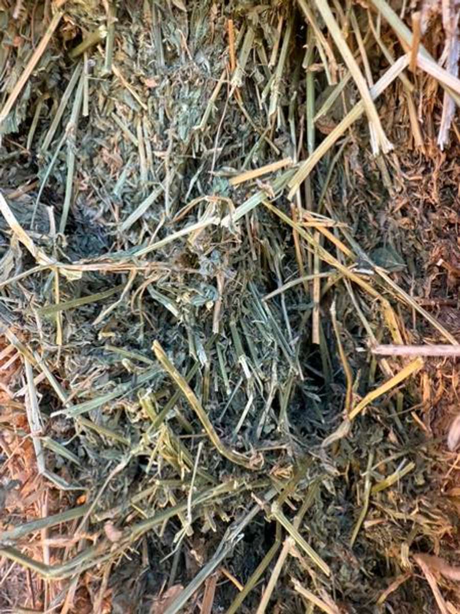 Batch 4990788000183566026 Image