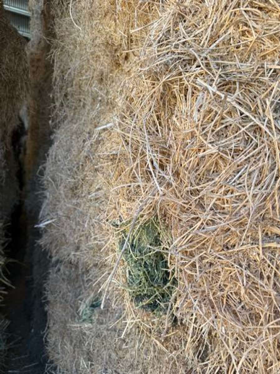 Batch 4990788000183566026 Image