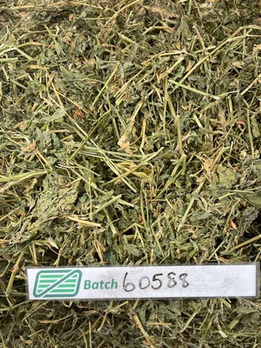 Batch 4990788000183566026 Image