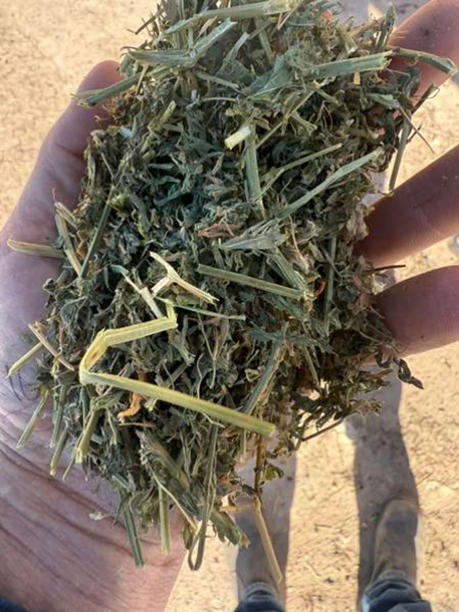 Batch 4990788000183566026 Image