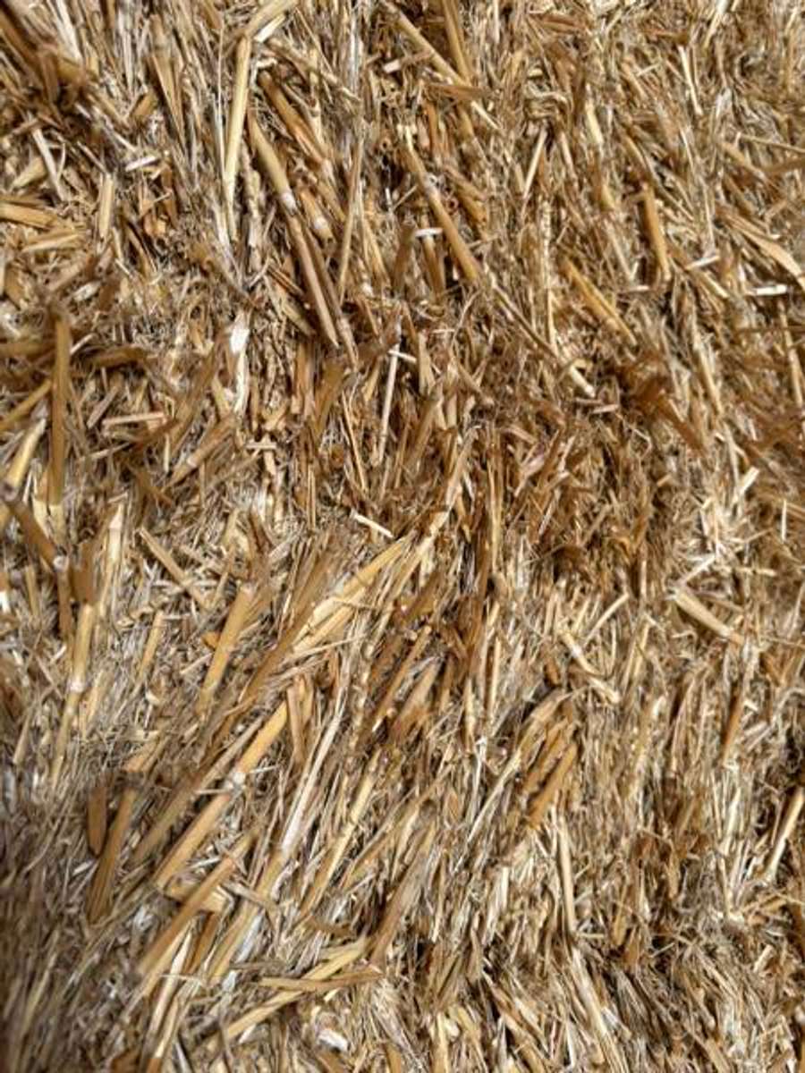 Batch 4990788000183148011 Image