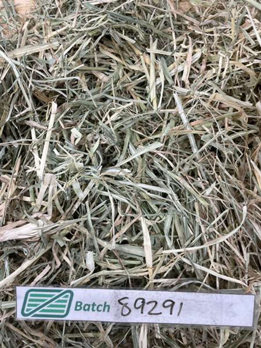 Batch 4990788000183545080 Image