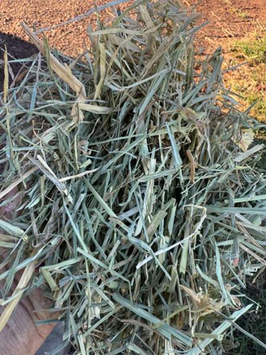 Batch 4990788000183545080 Image