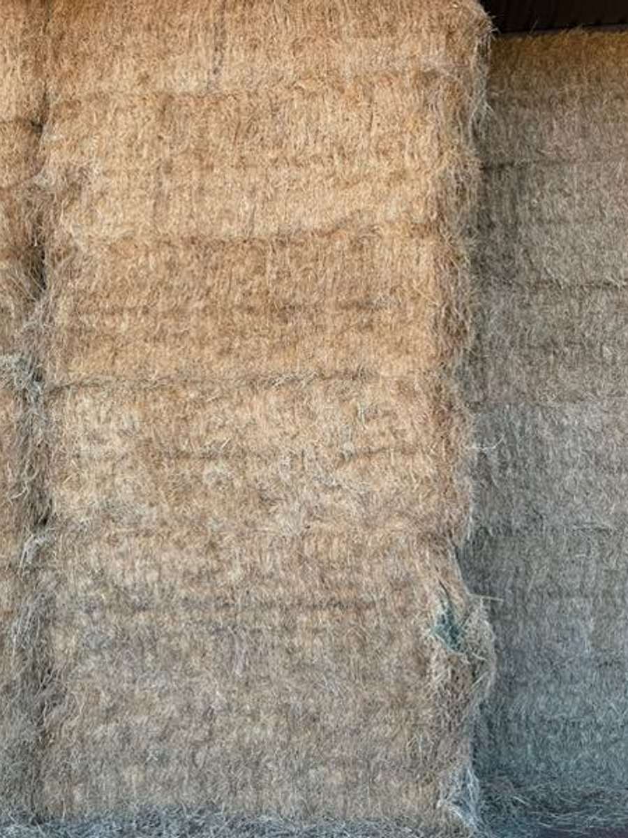 Batch 4990788000183545080 Image