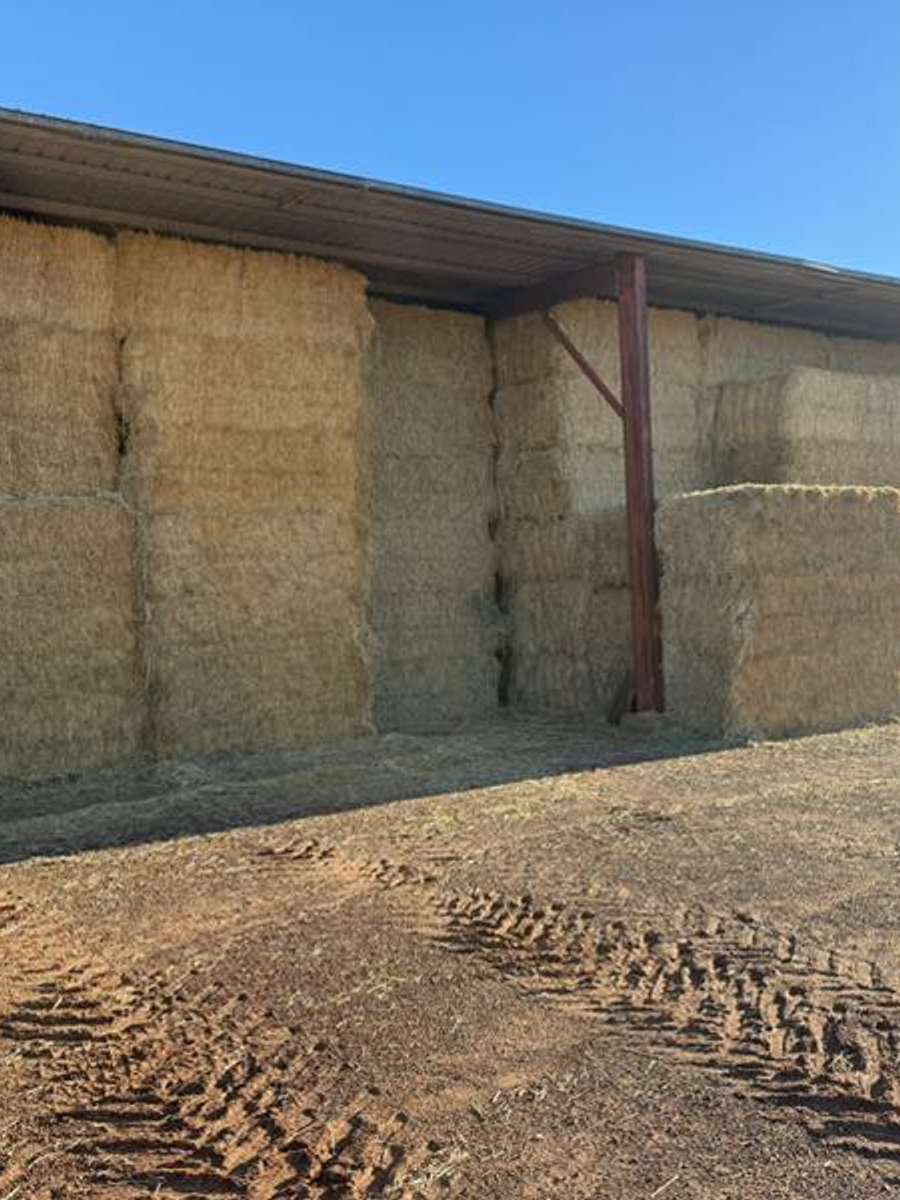 Batch 4990788000183545080 Image