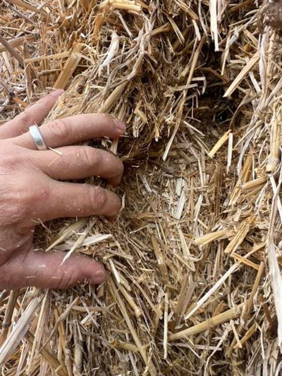 Batch 4990788000181090880 Image