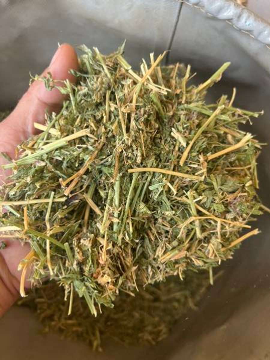 Batch 4990788000176253073 Image