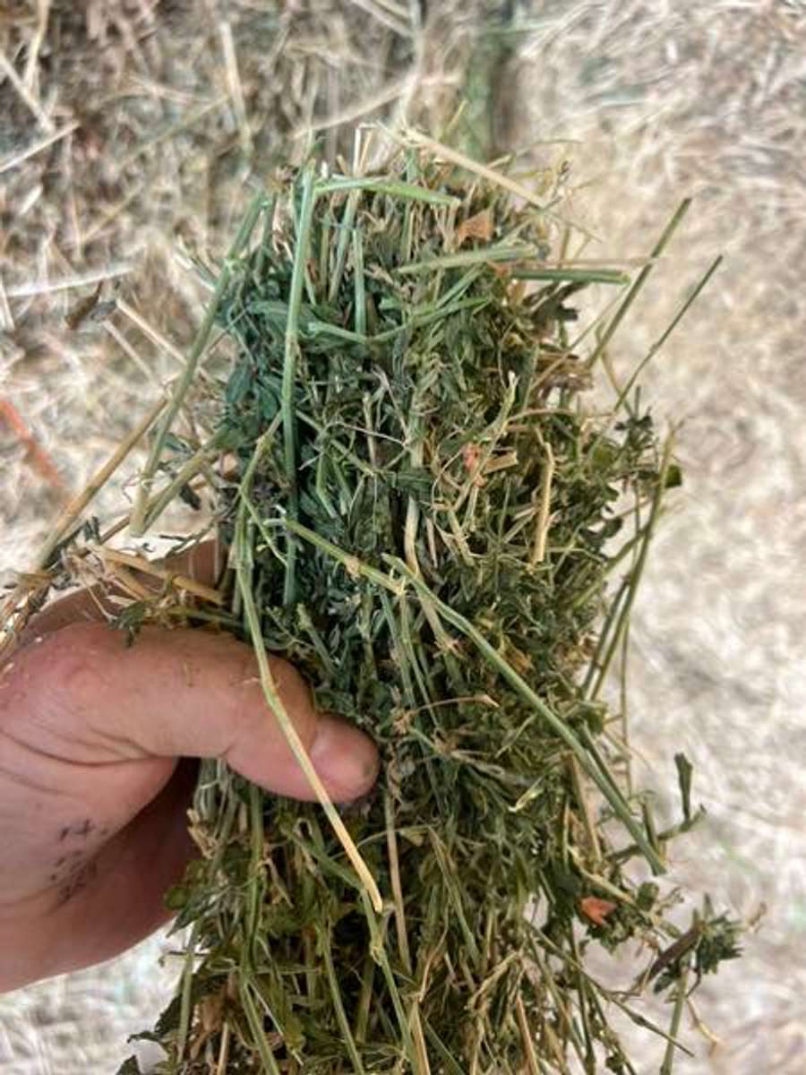 Batch 4990788000176253073 Image