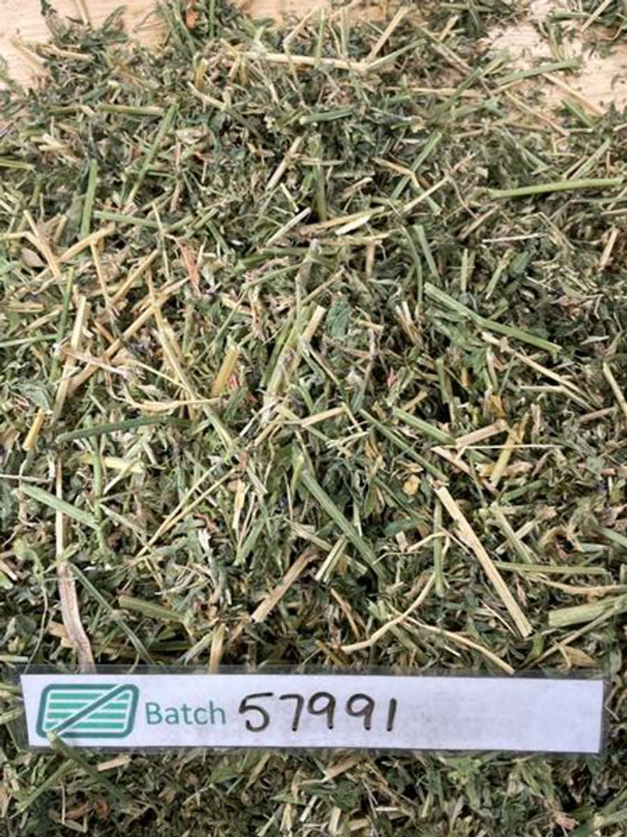 Batch 4990788000176253073 Image