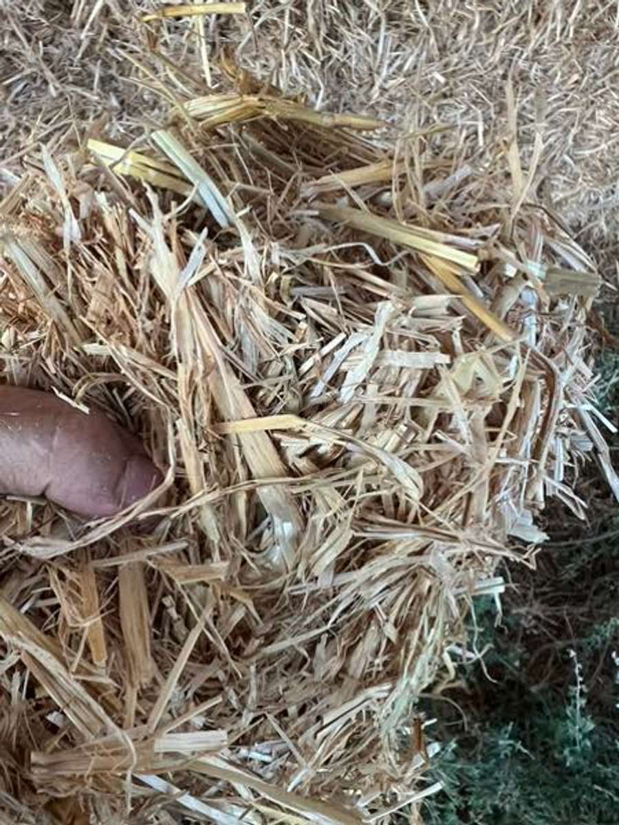 Batch 4990788000170818001 Image