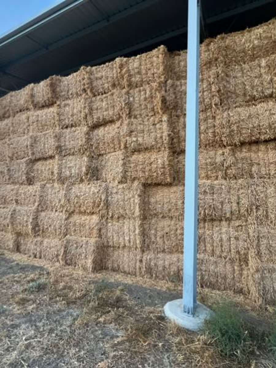 Batch 4990788000170818001 Image