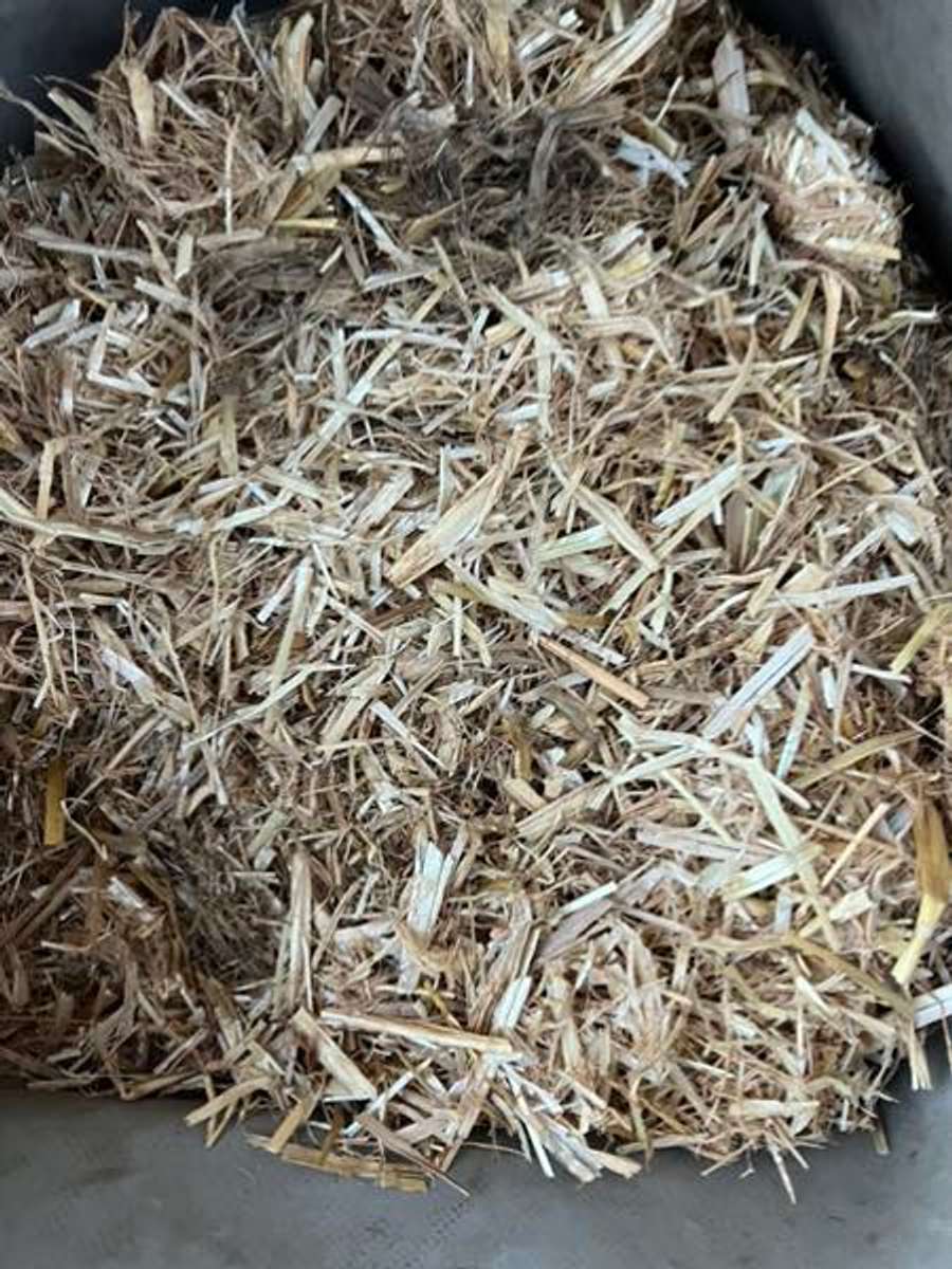 Batch 4990788000170818001 Image