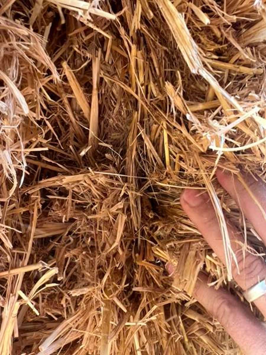 Batch 4990788000170818001 Image