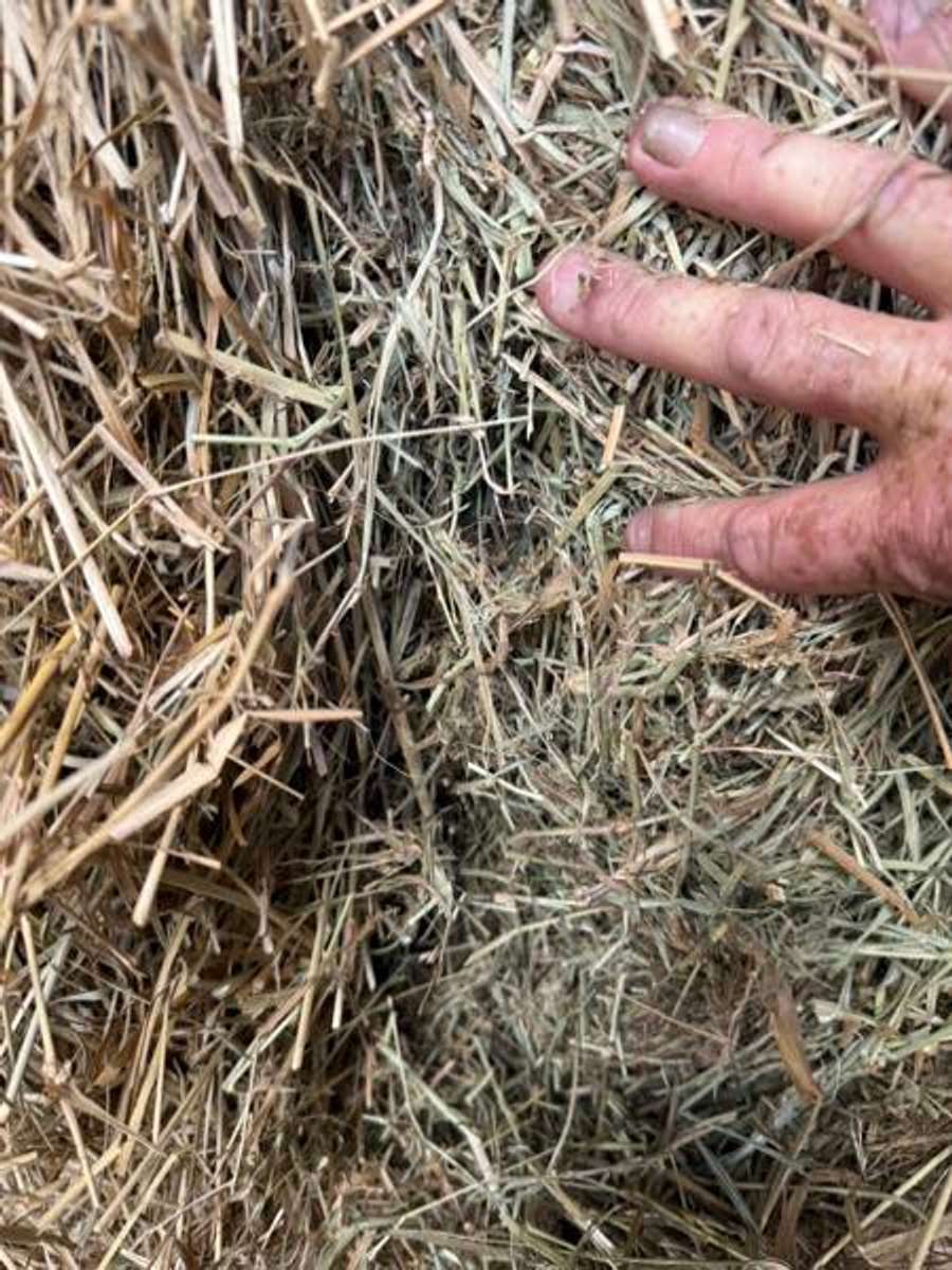 Batch 4990788000157001001 Image