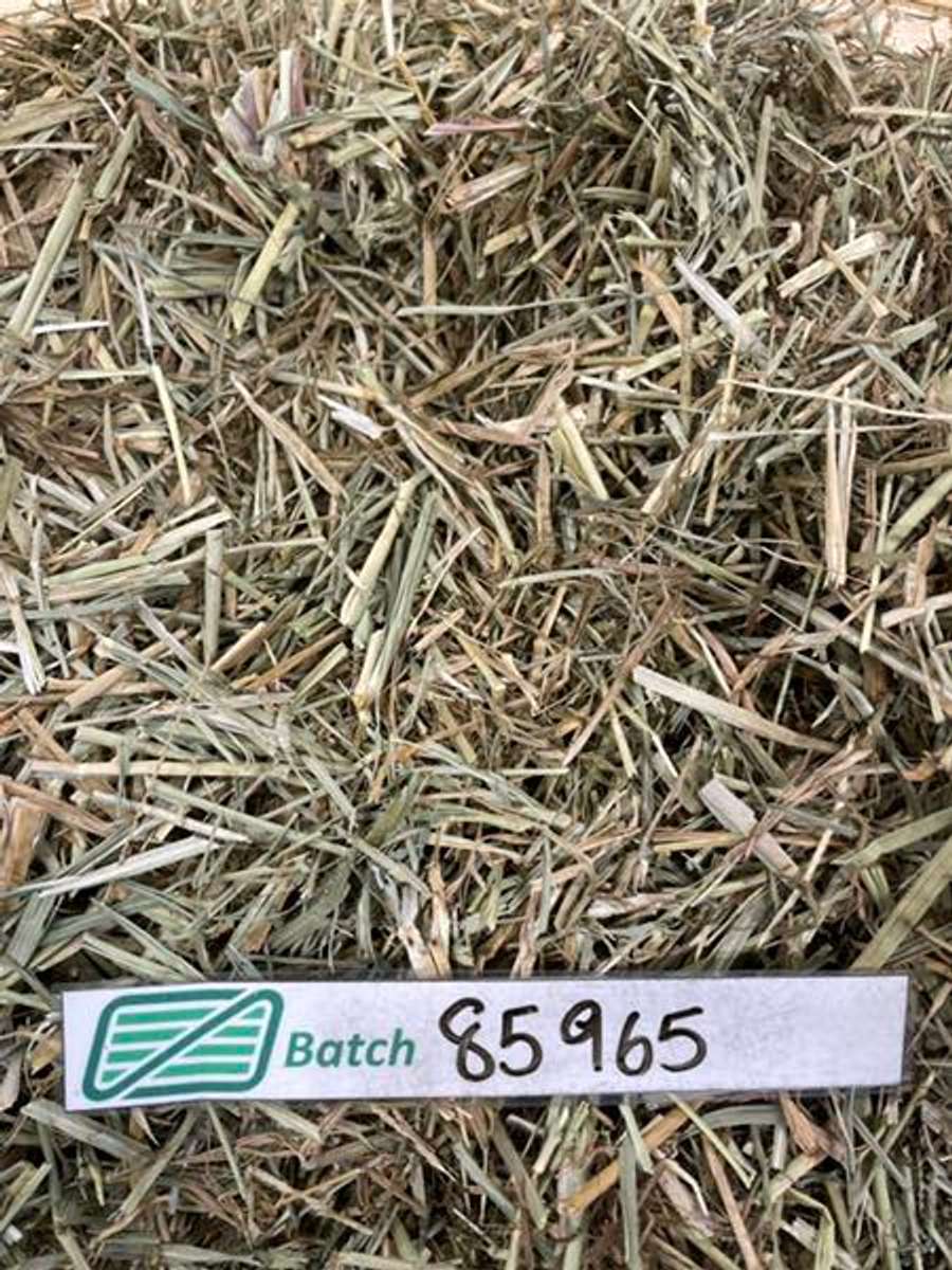 Batch 4990788000157001001 Image