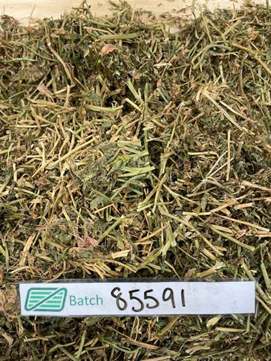 Batch 4990788000156965021 Image