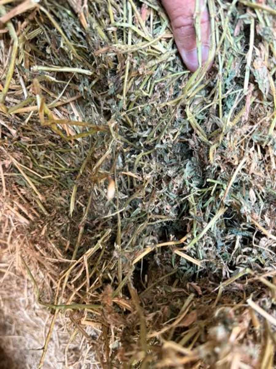 Batch 4990788000156965021 Image