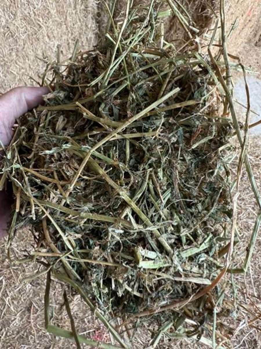 Batch 4990788000156965021 Image