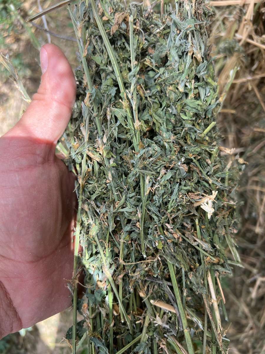 Batch 4990788000204255462 Image