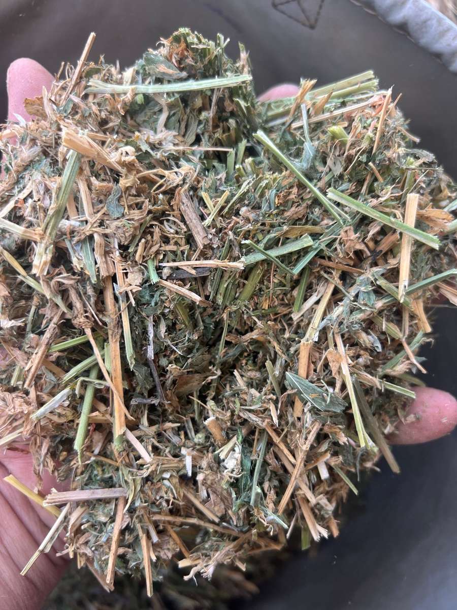 Batch 4990788000204255462 Image