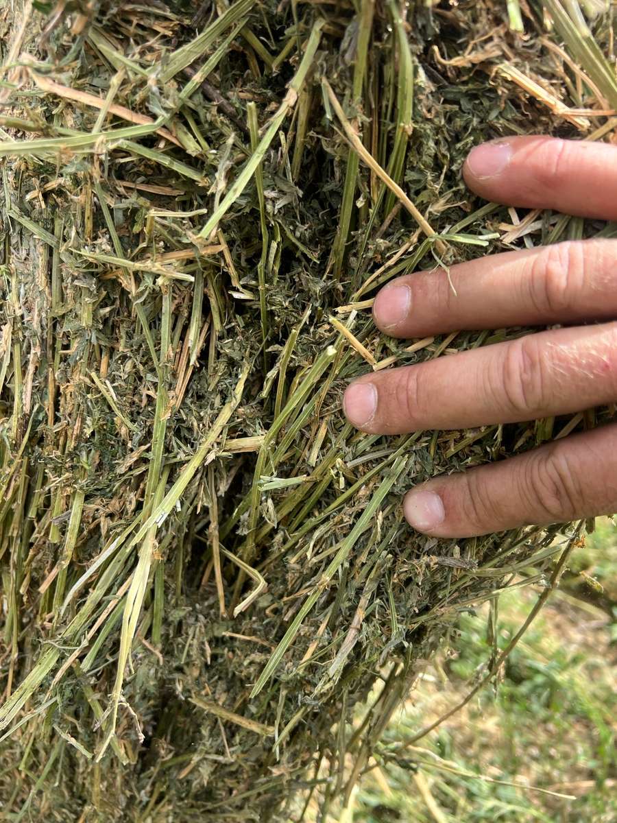 Batch 4990788000204255462 Image