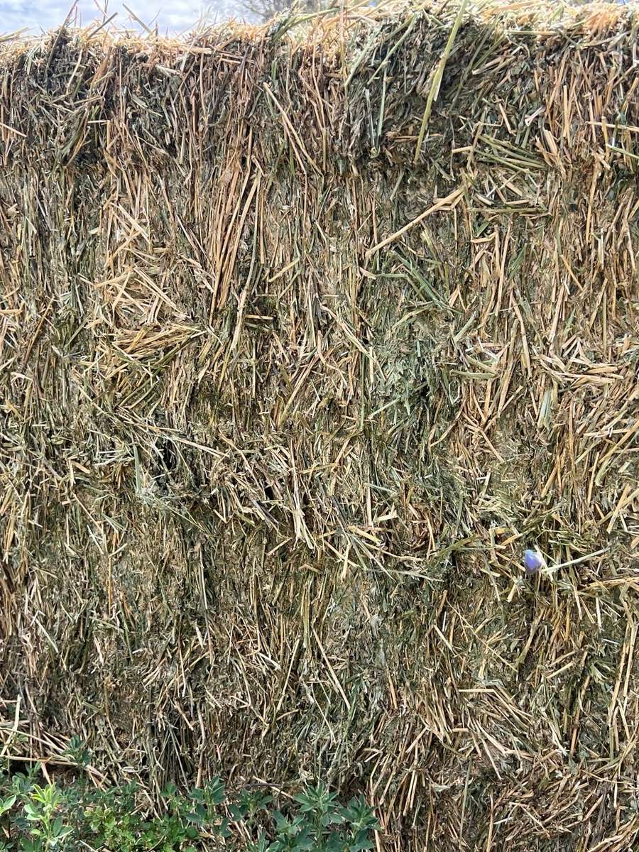 Batch 4990788000204255462 Image