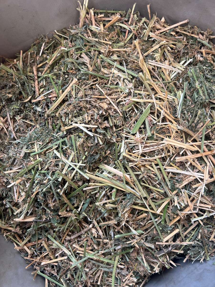 Batch 4990788000204255462 Image