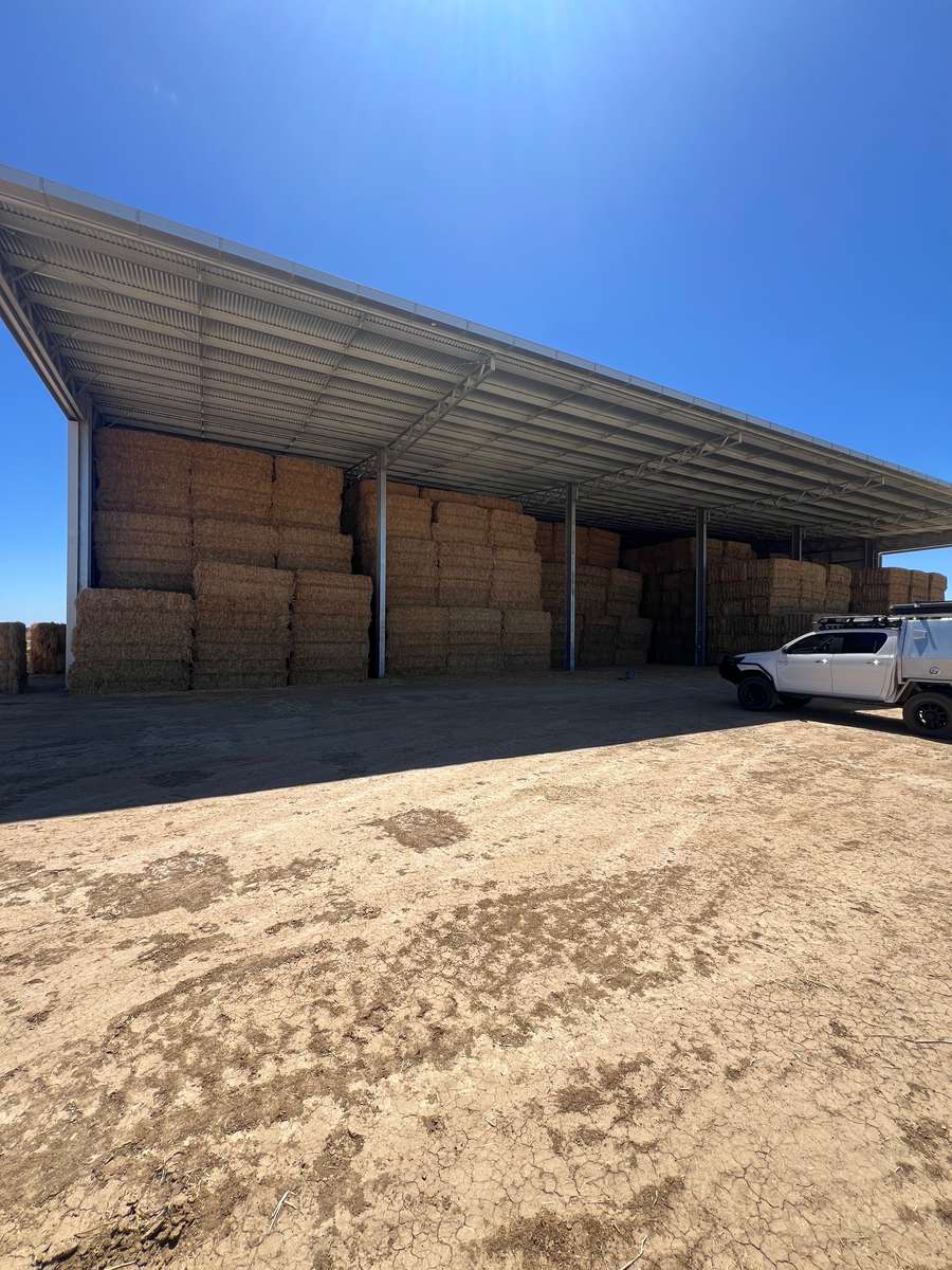 Batch 4990788000205192929 Image