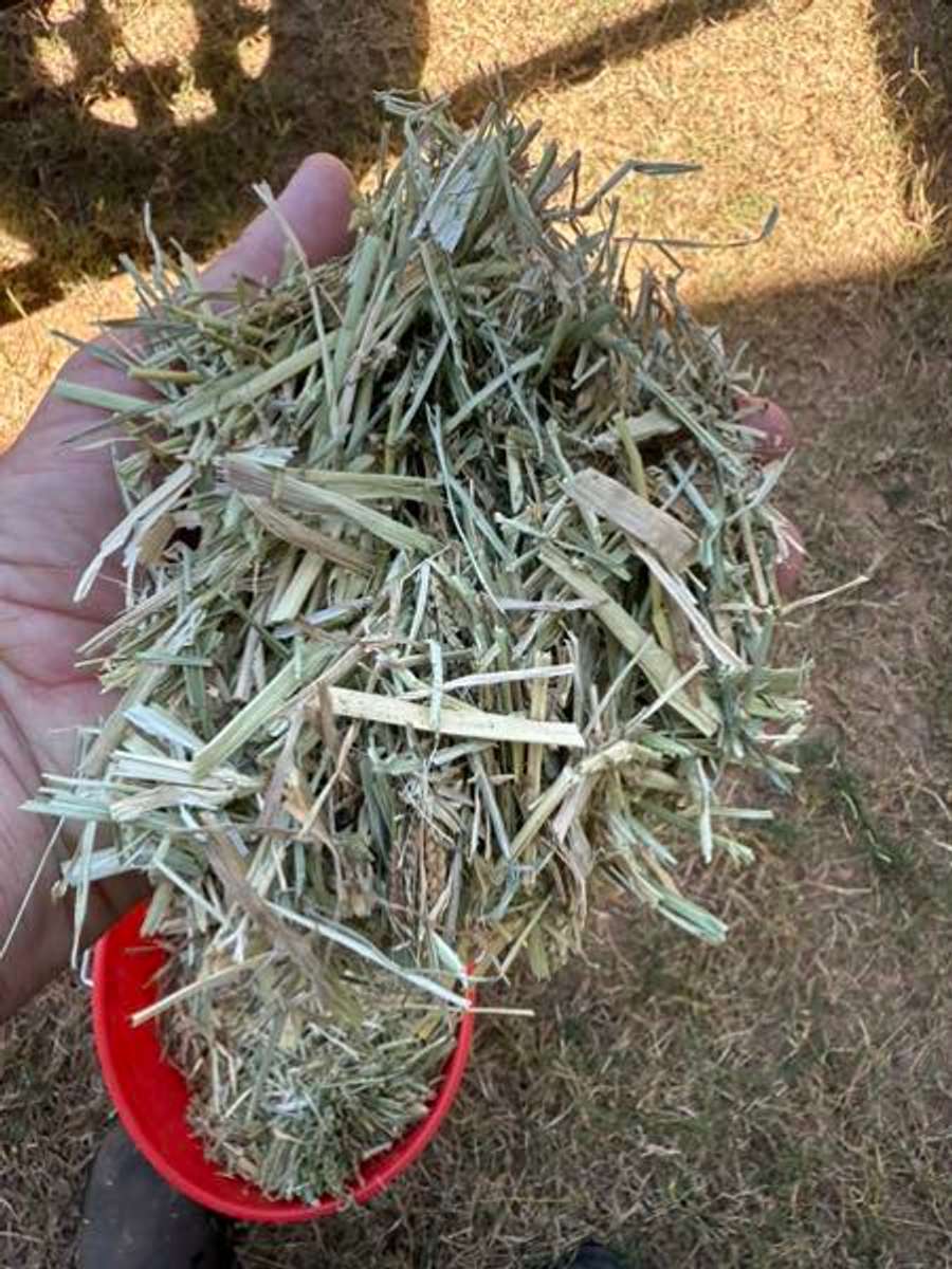 Batch 4990788000160931047 Image