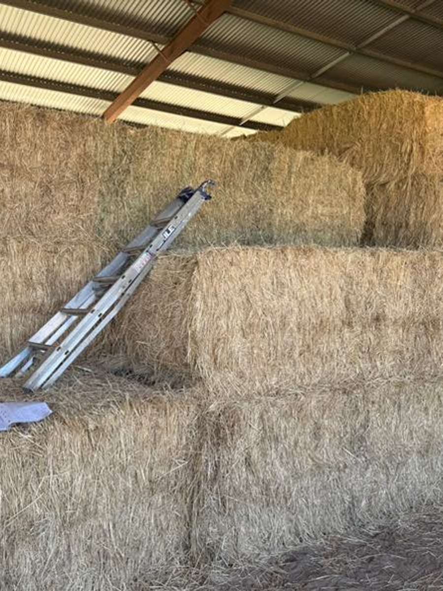 Batch 4990788000160931047 Image