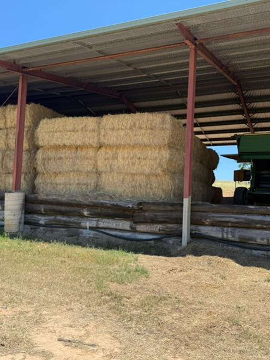 Batch 4990788000160931047 Image