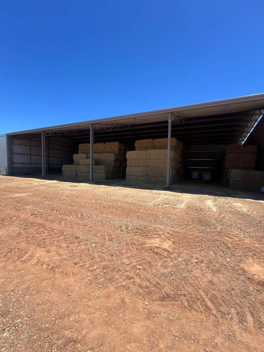 Batch 4990788000203804117 Image