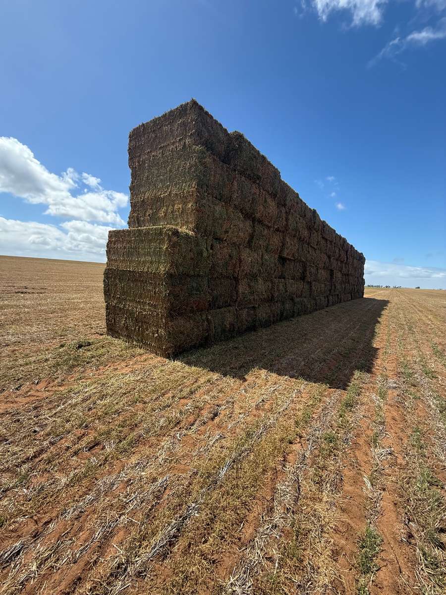 Batch 4990788000199038186 Image