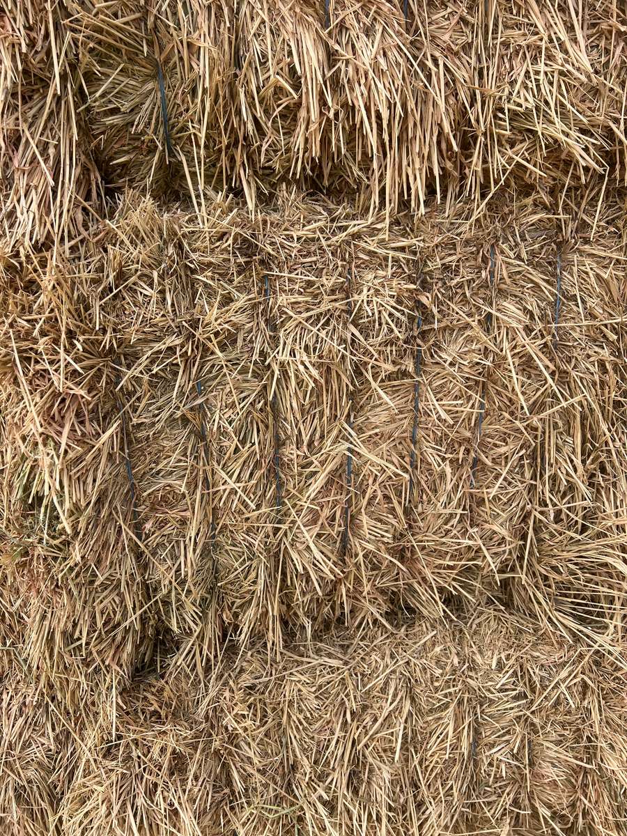 Batch 4990788000204002544 Image