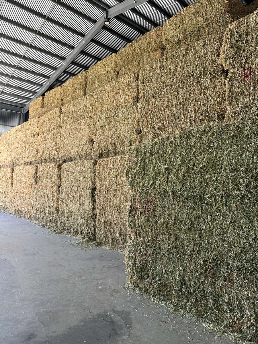 Batch 4990788000207538391 Image