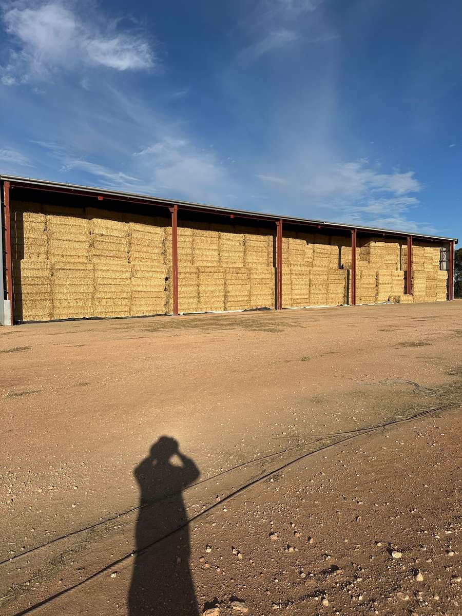 Batch 4990788000207945510 Image