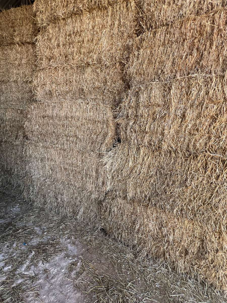 Batch 4990788000207228921 Image