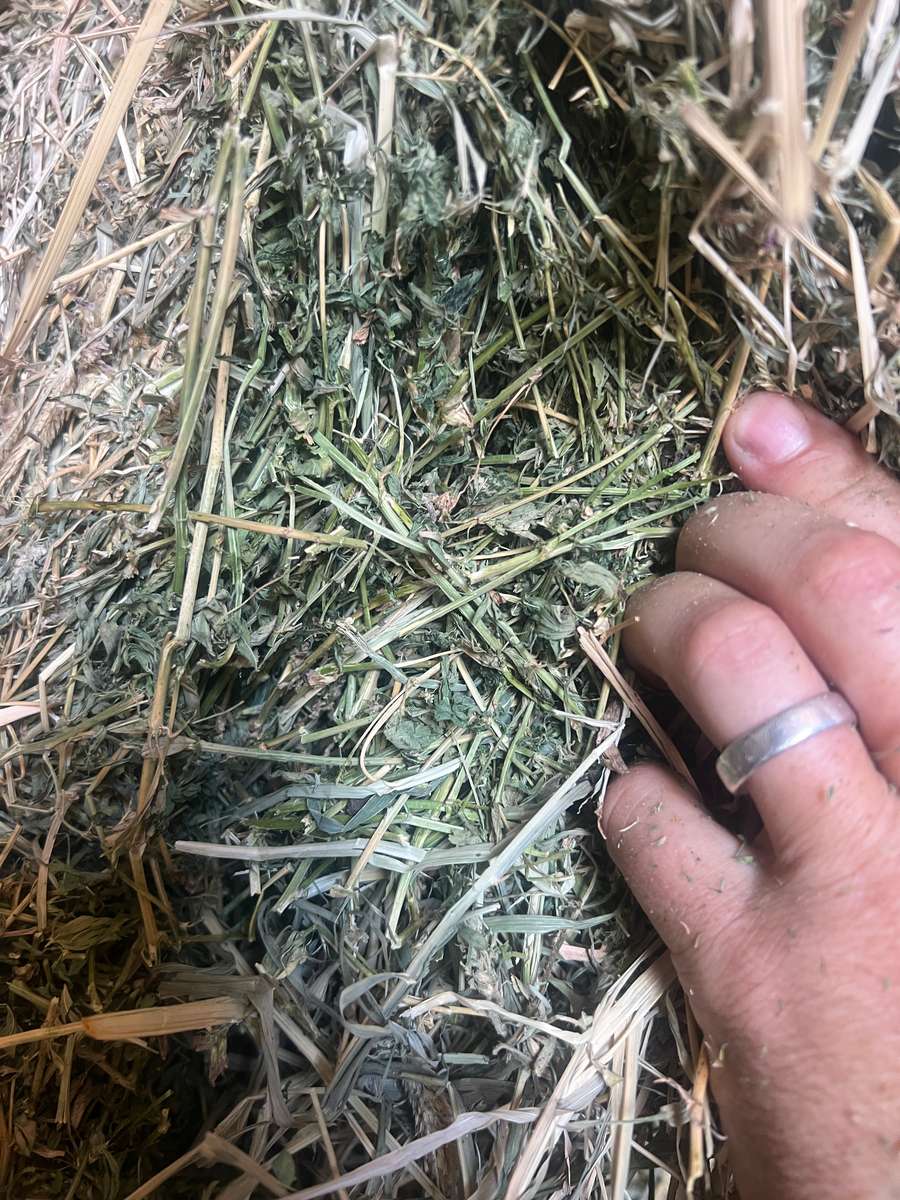 Batch 4990788000208585001 Image