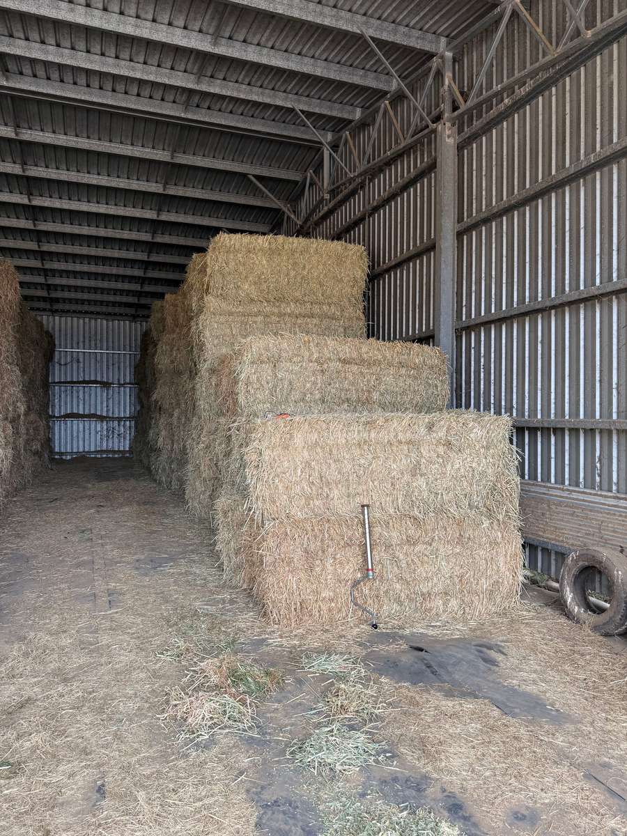 Batch 4990788000200484064 Image