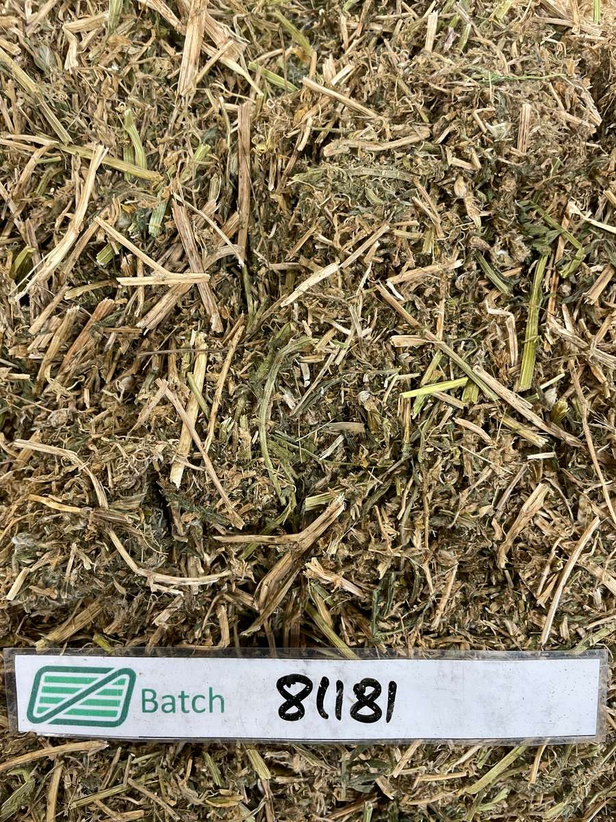 Batch 4990788000205189481 Image