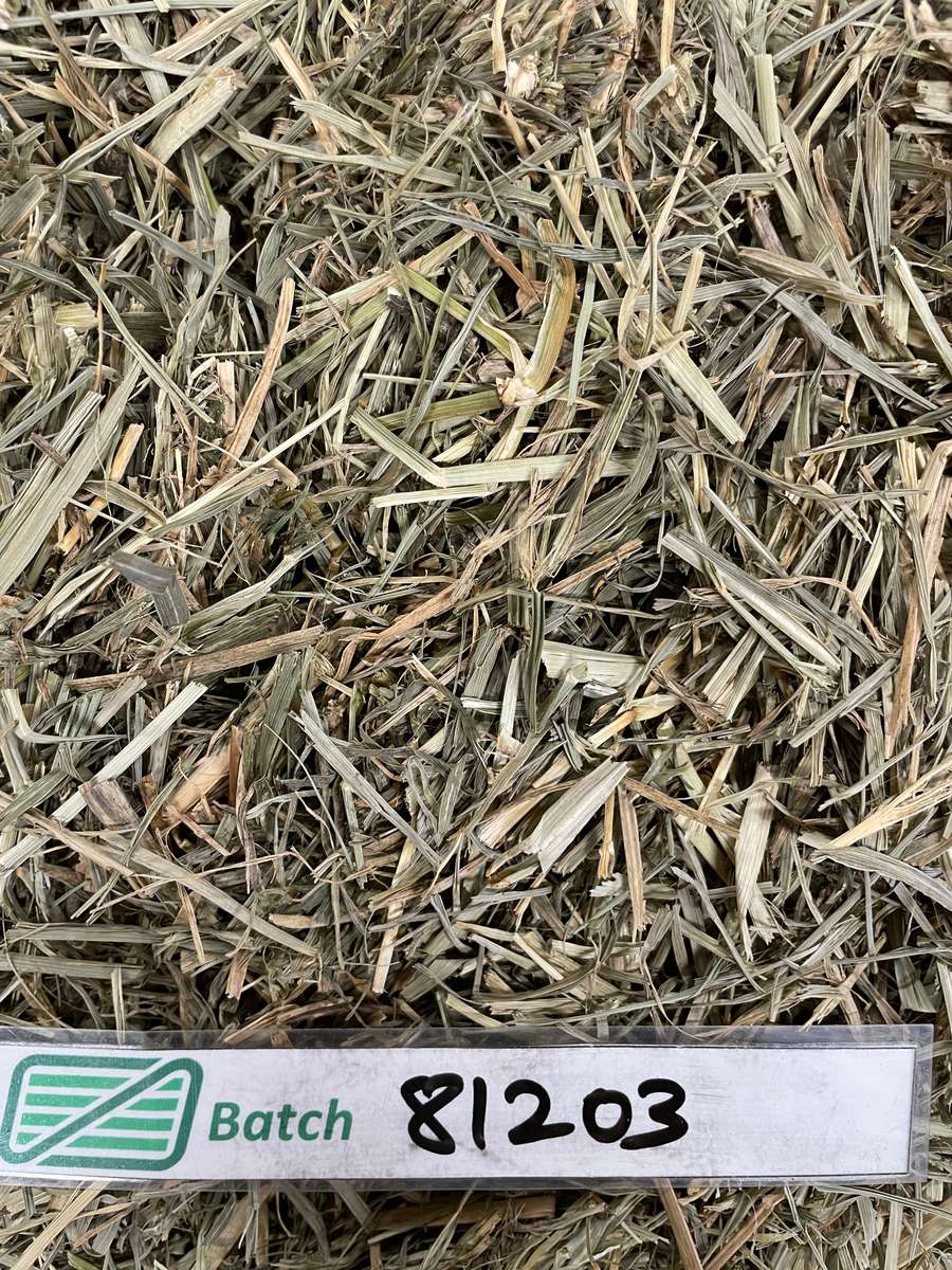 Batch 4990788000206189192 Image